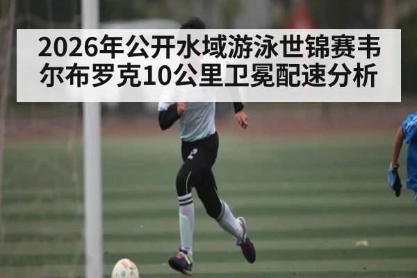 2026年公开水域游泳世锦赛韦尔布罗克10公里卫冕配速分析